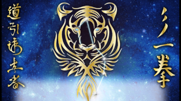 Récap séance tigre céleste mélanie