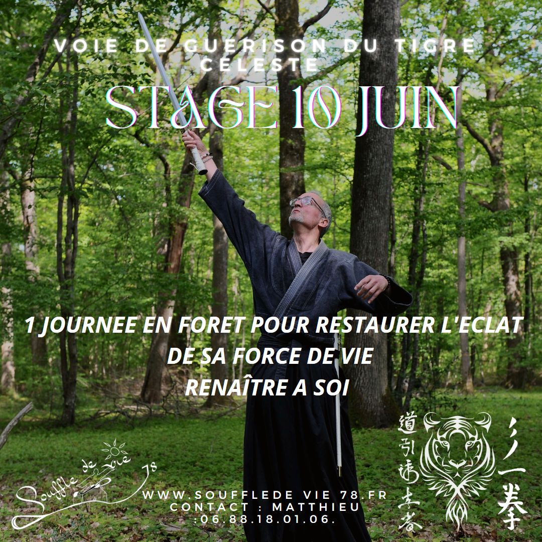 Affiche stage 10 JuINvf