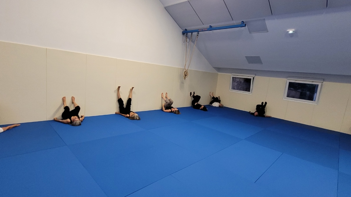 Dojo stléger-1