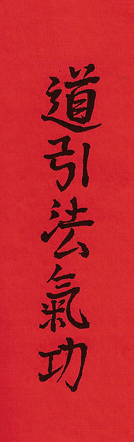 tao-yin-fa-qigong-rouge