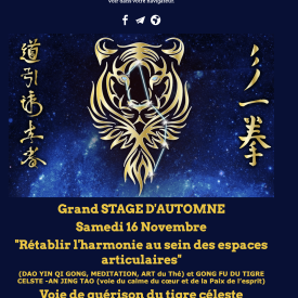 Stage du 16 novembre 2024 : “Rétablir l’harmonie au sein des espaces articulaires”