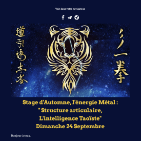 Stage du 24 septembre  2023  : Stage d’Automne, l’énergie Métal : ” Structure articulaire, L’intelligence Taoïste”