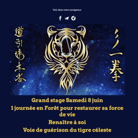 Stage du 8 juin 2024  : 1 journée en Forêt pour restaurer sa force de vie Renaître à soi Voie de guérison du tigre céleste