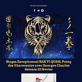 Stage du 12 février 2023  : Stages Exceptionnel SAN YI QUAN, Poing des 3 harmonies avec Georges Charles